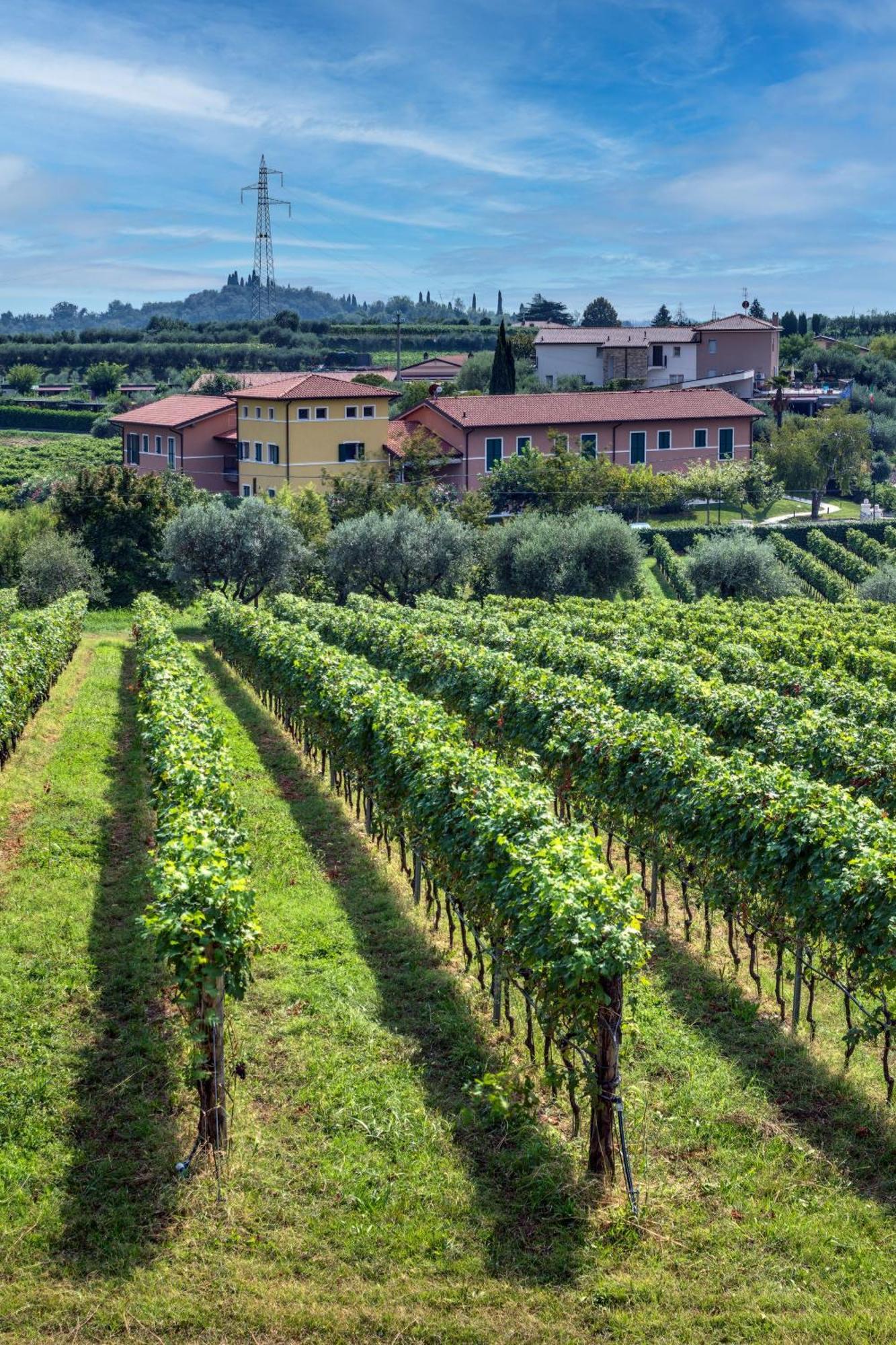 Tenuta di Palú Bardolino Exterior foto